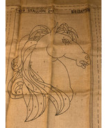 Rug Hook Tufting Printed Burlap STALLION T-629  Large 24 x 36  Rug Crafters - €24,53 EUR