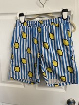 Men&#39;s Mr. Swim blue white stripe Lemons swim suit Size L Trunks Bathing Suit - £16.17 GBP