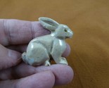 (y-bun-43) gray BUNNY RABBIT SOAPSTONE gem carving FIGURINE rabbits love... - £6.90 GBP
