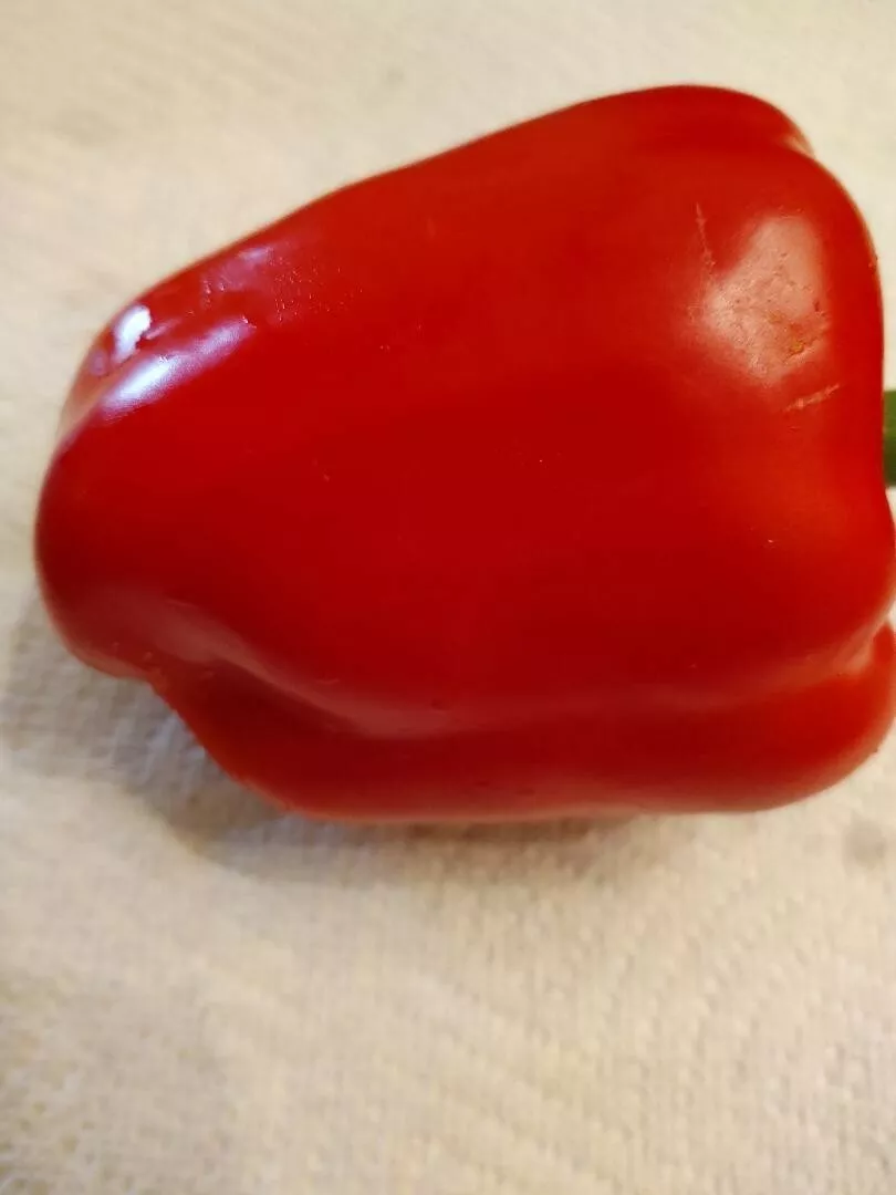 Fast Growing 20+ Giant Red Sweet Bell Pepper , Best Price on Ebay, Next ... - $74.54 MXN