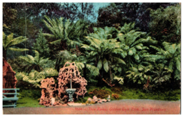 No. 1664 Ferns Golden Gate Park San Francisco CA Mitchell Postcard. Posted 1920 - £10.05 GBP