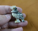 Y-BIR-VUL-10 gray Vulture Buzzard carving Figurine soapstone Peru scaven... - $8.59