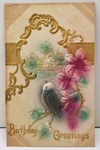 Birthday Greetings Bird Flowers Airbrushed Embossed Postcard E6  - £3.15 GBP