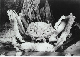 Attack Of The Crab Monsters 7X10 Photo - £7.90 GBP