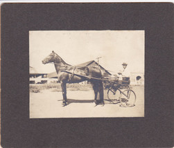 Professional Harness Racing Horse &amp; Driver Cabinet Photo - Maine Collection - £15.53 GBP