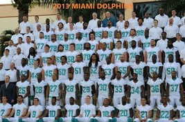 2013 MIAMI DOLPHINS 8X10 TEAM PHOTO NFL FOOTBALL PICTURE IS EXACTLY AS S... - £3.93 GBP