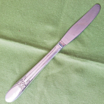 Modern Hollow Grille Knife Wm Rogers Bros IS Silverplate Beloved 8 1/2&quot; ... - £4.74 GBP