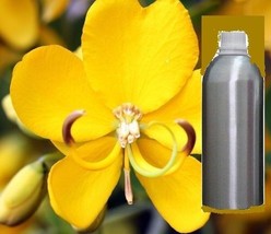 Cassia Pure Essential Oil Natural Organic Therapeutic Aromatherapy 30ml - 500 ml - £19.80 GBP+