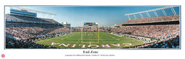 NCAA South Carolina Gamecocks Football End Zone Panoramic Poster Print 5002 - $44.95+