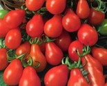 Red Pear Cherry Tomato Seeds Non Gmo 50 Seeds Heirloom Fast Shipping - $8.99