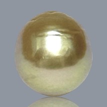 Immense 11.5 x 12.3mm 11.6 Carats Deep Gold Philippines South Sea Loose ... - $64.38