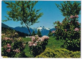 British Columbia BC Postcard Vancouver The Lions Rhododendrons - £2.36 GBP