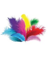 Davis DM4001 15 10 Fun Burst Grooming Feather (150 Pack) - £9.79 GBP