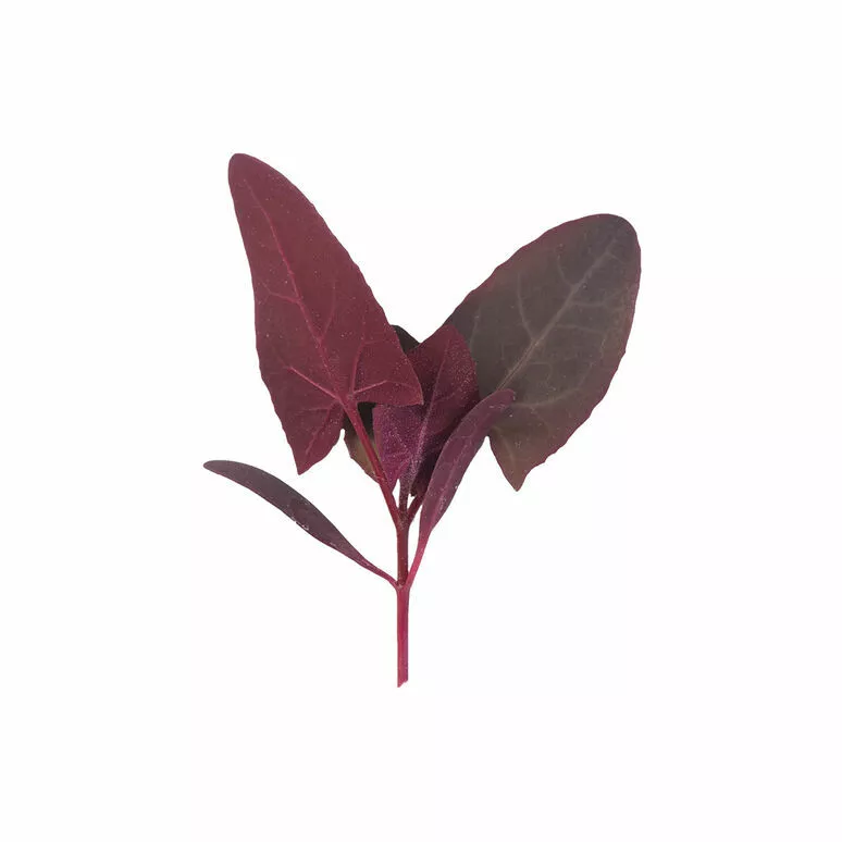 Item image 3