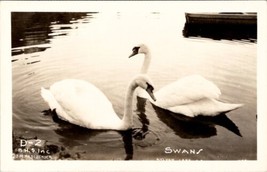 Black Hills SD Swans on Sylvan Lake South Dakota RPPC JM Fassbender Postcard Y7 - £7.86 GBP