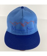 Mountain States Fastening Systems Snapback Cap Truck Hat Promotional Vin... - $941.50 MXN
