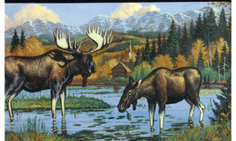 Black Moose WL5607 Wallpaper Border - £23.93 GBP
