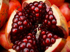 Big Pomegranate (Punica Granatum) Live Fruit Tree 2’-3’ - £91.12 GBP