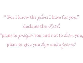 &quot;For I know the plans i have for you,&quot; declares the Lord..... Vinyl Wall... - $6.81