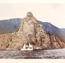 1988 Lake Baikal Tree Of Life USSR Russian Photo Print Card Cold War Era... - $29.99