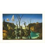SALVADOR DALI Swans Reflecting Elephants 27.5" x 39.25" Offset Lithograp... - $82.17