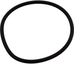 Waterway 8050383 O-ring for Sand filter - $14.28