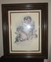 Doug Lindstrand 1980 Big Horn Sheep Signed Print Alaskan Sketches Ltd Edition - $190.40