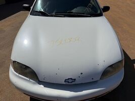 Hood Fits 95-02 CAVALIER 104965255 - $113.85