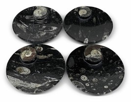804g, 4pcs, 4.4&quot; Small Black Fossils Ammonite Orthoceras Bowl Round Ring,B8834 - £47.18 GBP