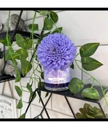 Scentsy Fragrance Flower Zennia Zen - £14.01 GBP