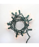 15 Bulb Clear Glass Craft Lights Green Wire - $12.00