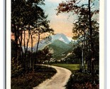 Mount Chapin Estes Park Colorado CO UNP WB Postcard S15 - $2.92