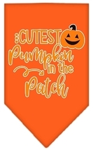 Cutest Pumpkin in the Patch Screen Print Bandana Orange Small - £8.66 GBP