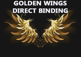HAUNTED DIRECT BINDING GOLDEN WINGS REACH THE HIGHEST BLESSINGS WORK MAGICK  image 2