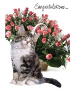 Congratulations And Best Wishes - Congratulations Greeting Card - 00796 - $2.79