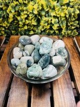 Tree Agate Tumbled|100GR |5-6Pc| |2.5-3 cm|Healing Tumbled Stones - $935.14 MXN