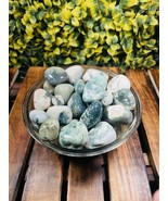 Tree Agate Tumbled|100GR |5-6Pc| |2.5-3 cm|Healing Tumbled Stones - $49.95