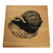 Anitas Rubber Stamp Conch Shell Beach Seashore Nature Outdoors Card Making - $5.99