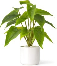 Mkono Artificial Plants In Ceramic Pots, 11&quot; Indoor Faux Green Leaf Plan... - $31.96