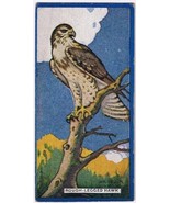 Cowan Co Toronto Card Bird Rough Legged Hawk - £7.83 GBP