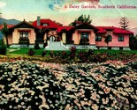 Daisy Garden And Bungalow Southern California CA UNP 1910s DB Postcard - £3.07 GBP