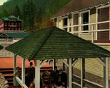 Sol Duc Hot Springs Washington WA Clallum County UNP 1910s Postcard  - $13.32