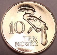 Rare Proof Zambia 1978 10 Ngwee~Crowned Hornbill~Extreme Low Mintage 24,000~Fr/S - £16.43 GBP