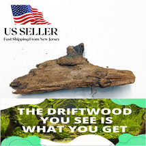 Natural Mangrove Driftwood #110a Wysiwyg - Aquasc API Ng, Super Price!! Decoration - £19.83 GBP