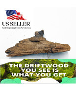 NATURAL MANGROVE DRIFTWOOD #110a WYSIWYG - AQUASCAPING, SUPER PRICE!! DE... - €21,38 EUR