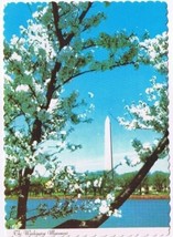 DC Postcard Washington Monument White Cherry Blossoms - £2.32 GBP
