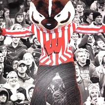 Wisconsin Badgers University Shape Cut 8x11 Inch  Wood Frame Canvas With Bucky - £10.05 GBP