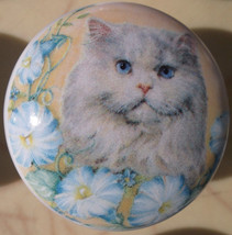 Cabinet Knobs Kitten Persian cat and flowers domestic - £4.06 GBP