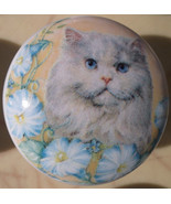 Cabinet Knobs Kitten Persian cat and flowers domestic - $7.12 CAD