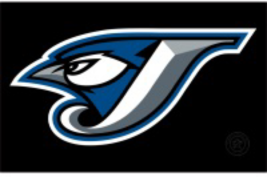 Toronto Blue Jays Baseball Logo Poster Print 12x8in Metal Sign Vintage ii - $24.74
